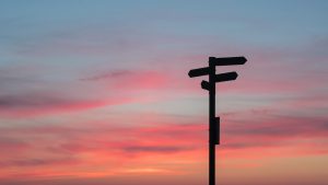 silhouette of road signage during golden hour